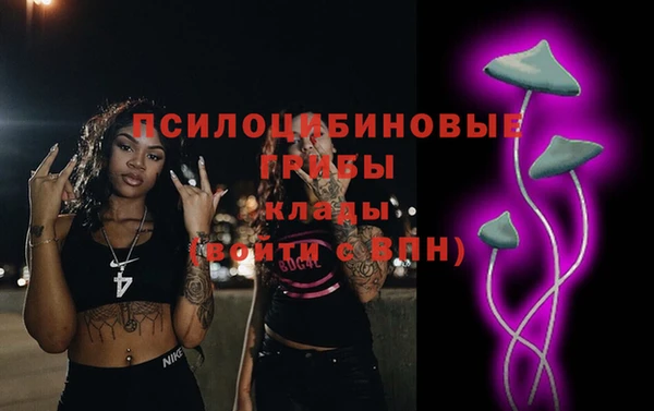 соль курить ск Белокуриха