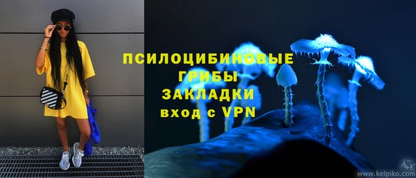 соль курить ск Белокуриха