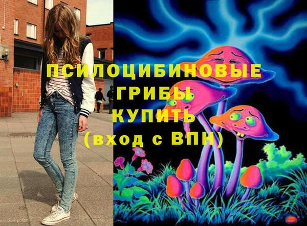 первитин Белоозёрский